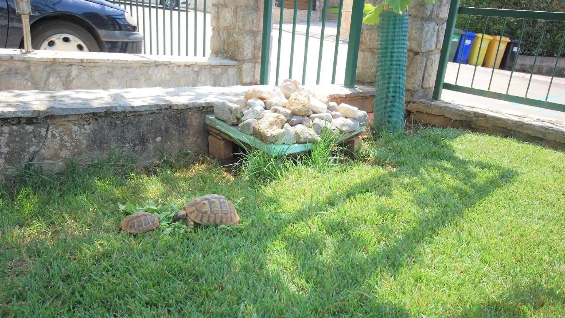Ferienwohnung Fuer 5 Personen Ca 65 Qm In Njivice, Kvarner Bucht Krk Njivice